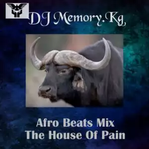 DJ Memory.Kg - Afro Beats Mix (The House Of Pain)
